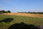 Août, les moissons