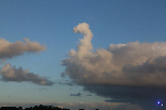 Cygne dans les nuages