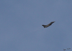 Comète Néowise en juin 2020